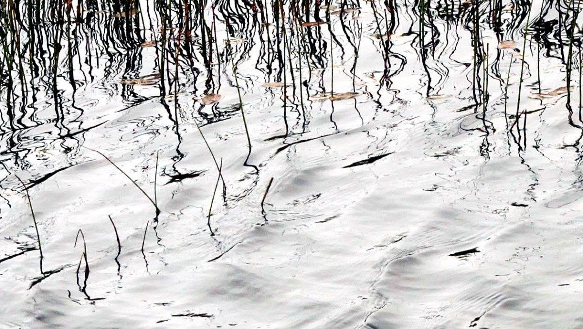 Reeds reflected in mountain tarn. Creative Mountain Photography Course